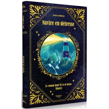Navire en Détresse